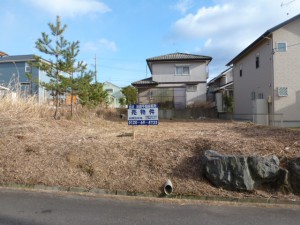 (外観) (外観)