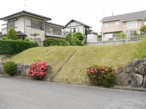 (外観) (外観)