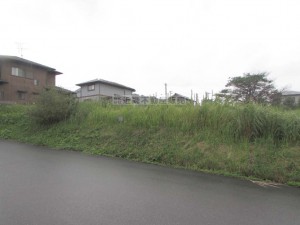(外観) (外観)
