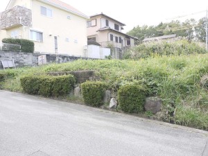 (外観) (外観)