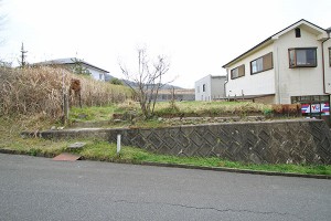 (外観) (外観)