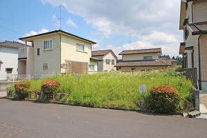(外観) (外観)